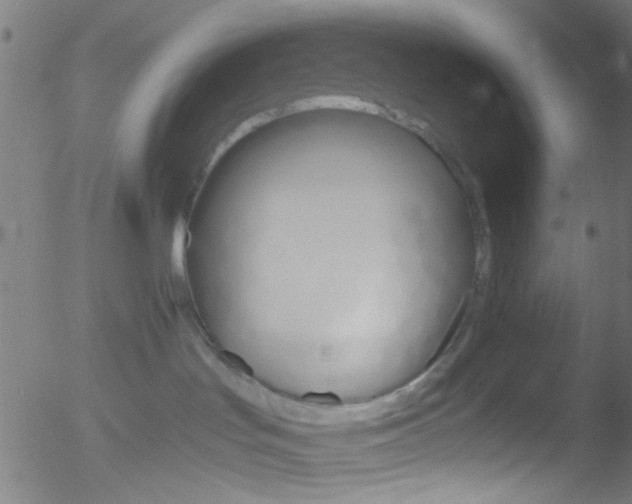 X0000052610047200507010950