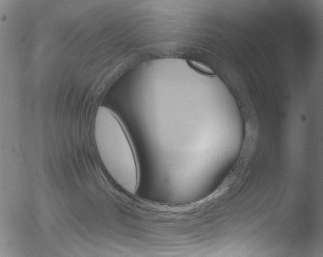 X0000052610048200507010950