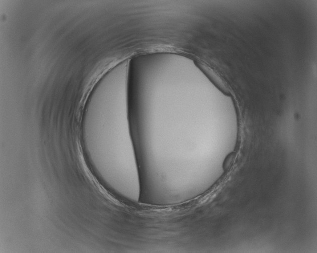 X0000052610049200507010949