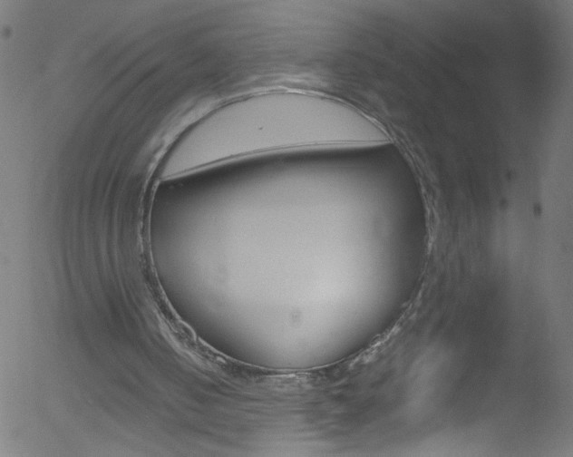 X0000052610050200507010949