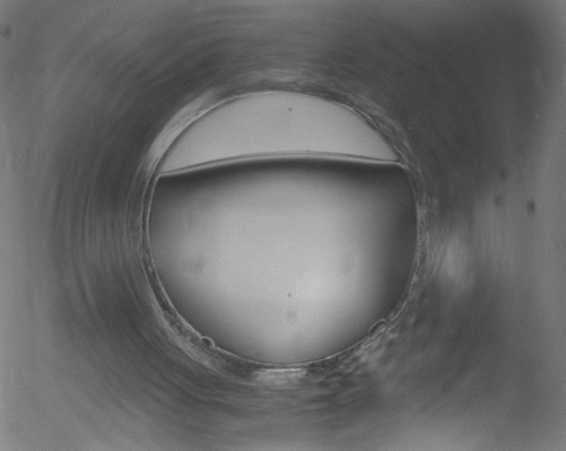 X0000052610051200507010949