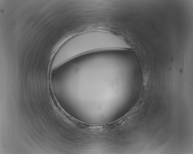 X0000052610052200507010949