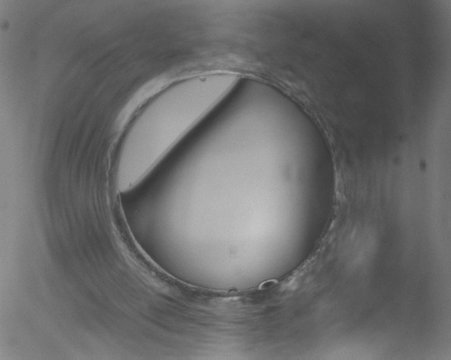 X0000052610054200507010949