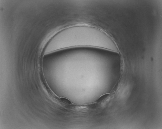 X0000052610055200507010949