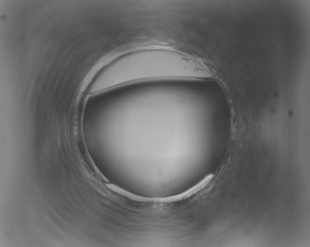 X0000052610056200507010949