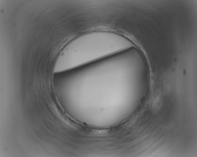 X0000052610057200507010949