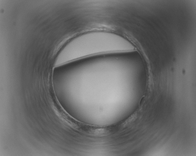 X0000052610058200507010949