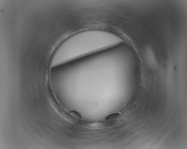 X0000052610059200507010949