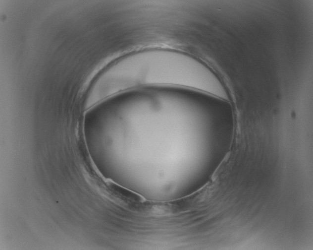 X0000052610060200507010949