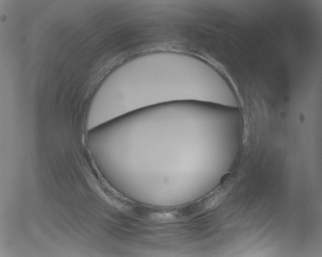 X0000052610061200507010949