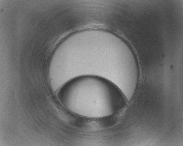 X0000052610062200507010949