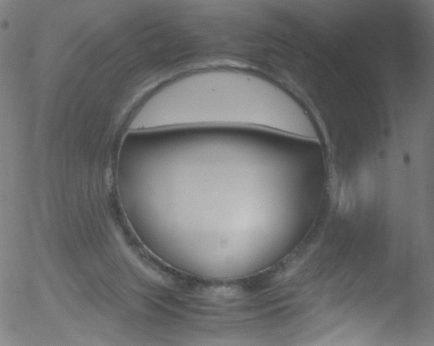 X0000052610063200507010949