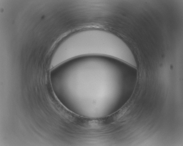 X0000052610064200507010949