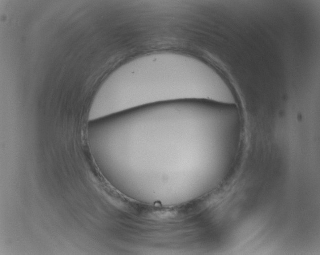 X0000052610065200507010949