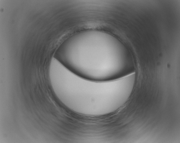 X0000052610066200507010949