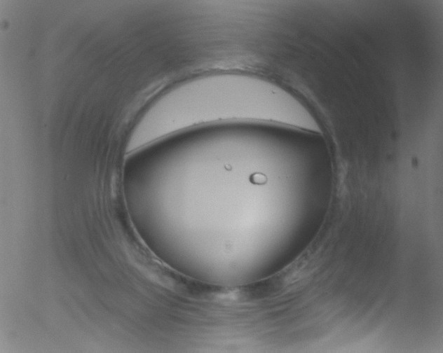 X0000052610068200507010949