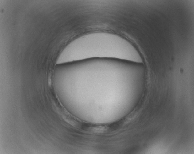 X0000052610069200507010949