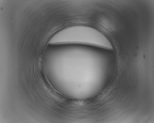 X0000052610071200507010949