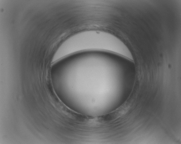 X0000052610072200507010949