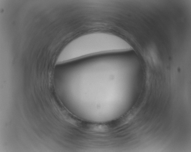 X0000052610073200507010949