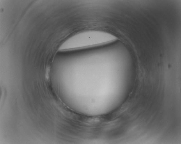 X0000052610075200507010949