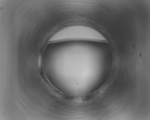 X0000052610076200507010949