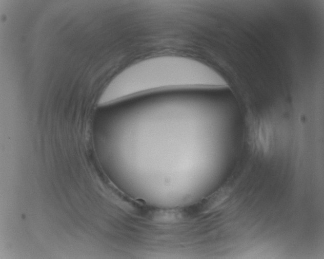 X0000052610077200507010949