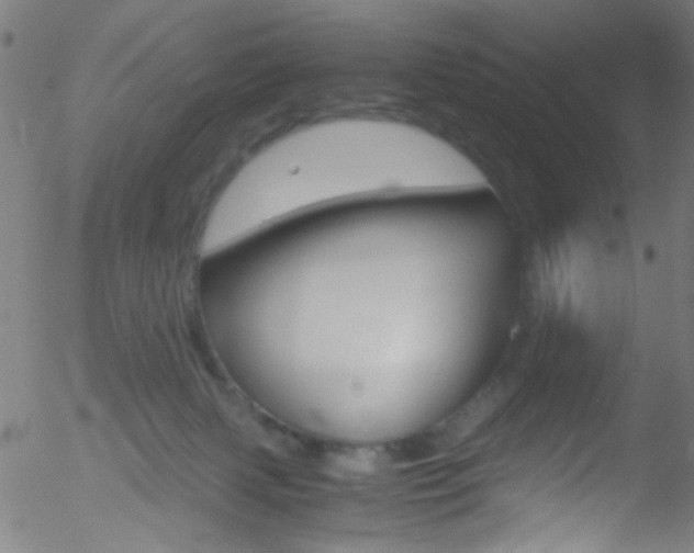 X0000052610079200507010949