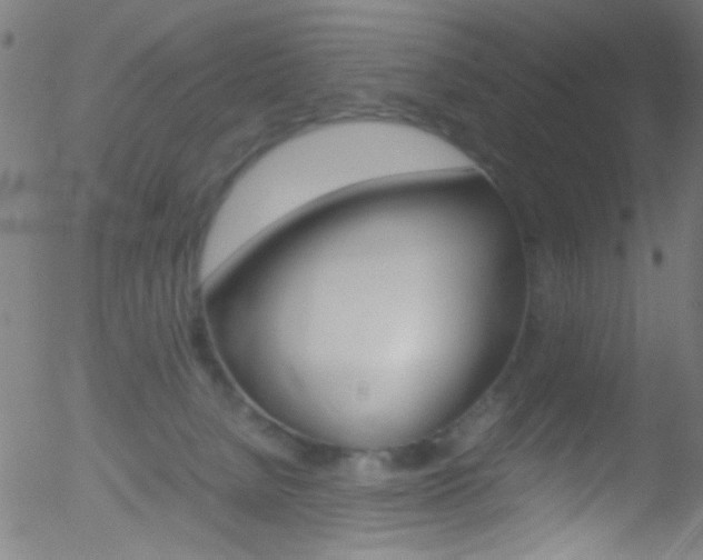 X0000052610080200507010949