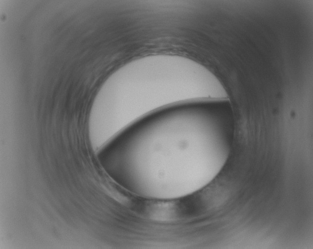 X0000052610081200507010949