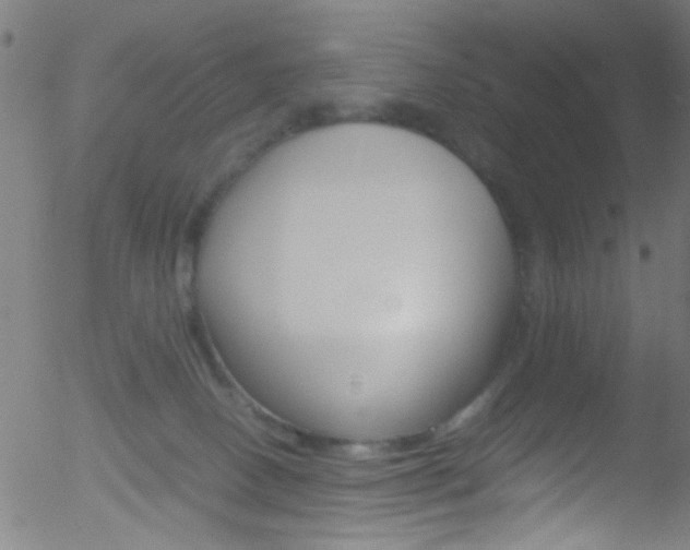 X0000052610082200507010949