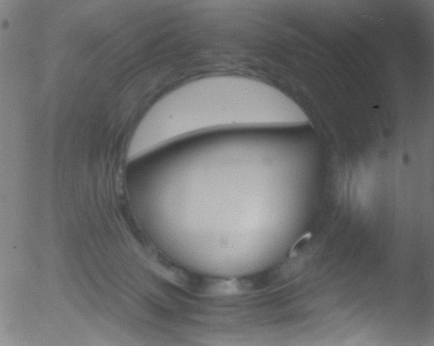 X0000052610083200507010949