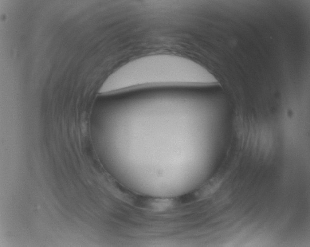 X0000052610085200507010950