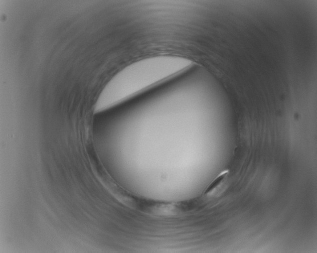 X0000052610086200507010950