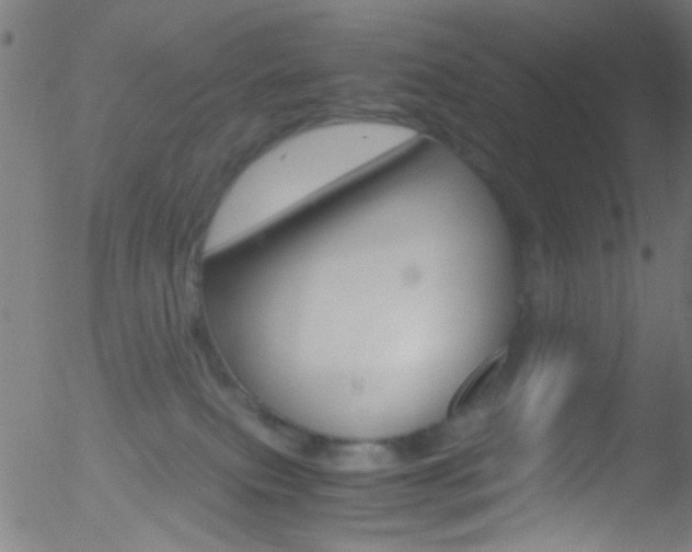 X0000052610087200507010950