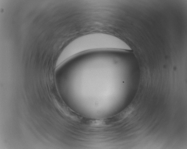 X0000052610088200507010950