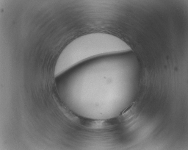 X0000052610090200507010950