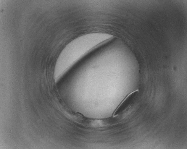 X0000052610091200507010950