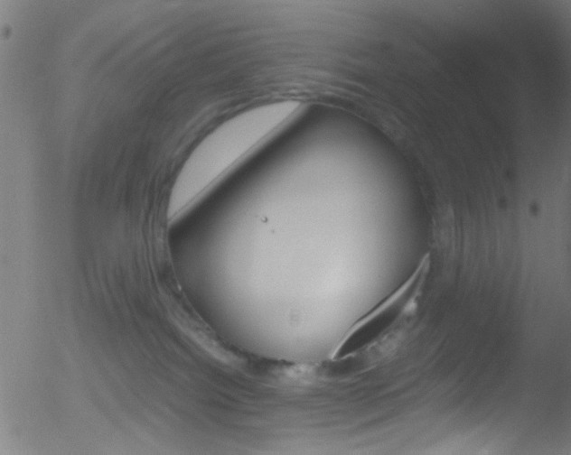 X0000052610092200507010950