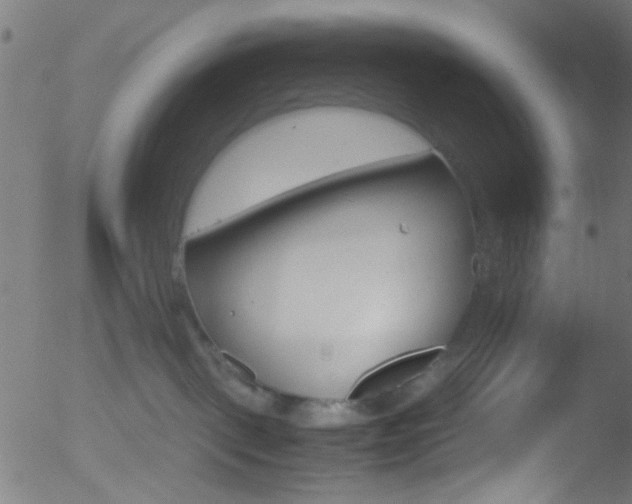 X0000052610093200507010950