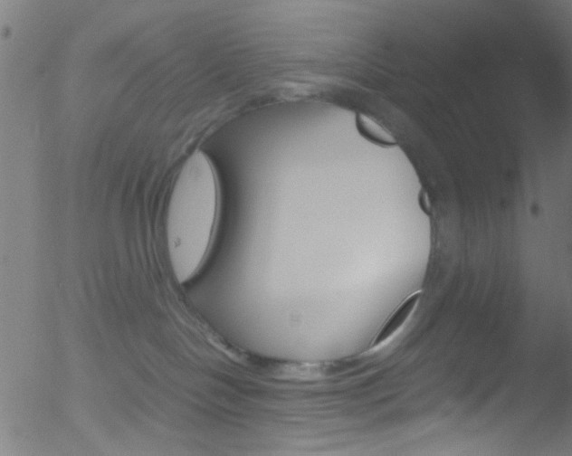 X0000052610094200507010950