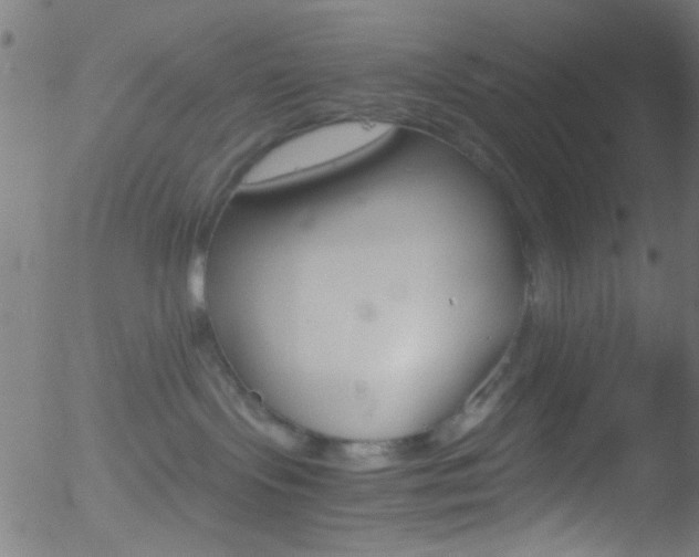 X0000052610095200507010950