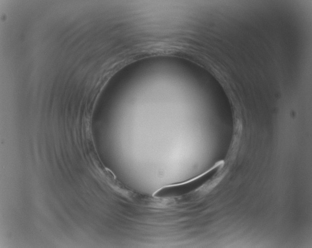 X0000052610096200507010950