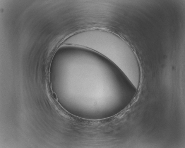 X0000052610097200507010949