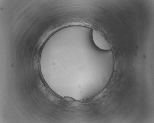 X0000052610098200507010949