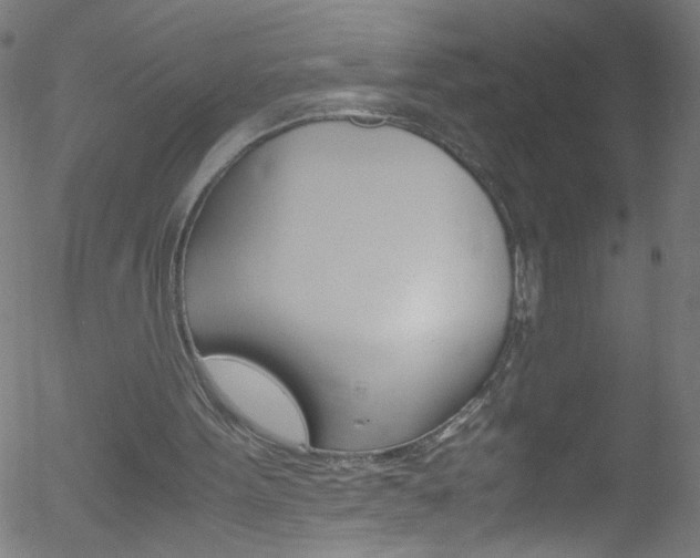 X0000052610099200507010949