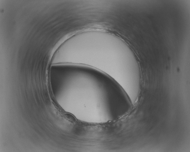 X0000052610100200507010949