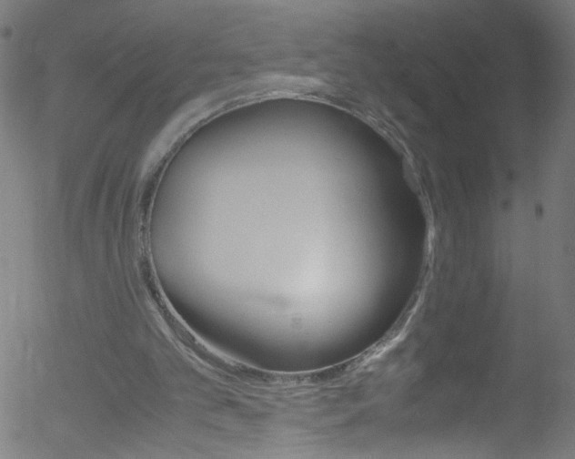 X0000052610101200507010949