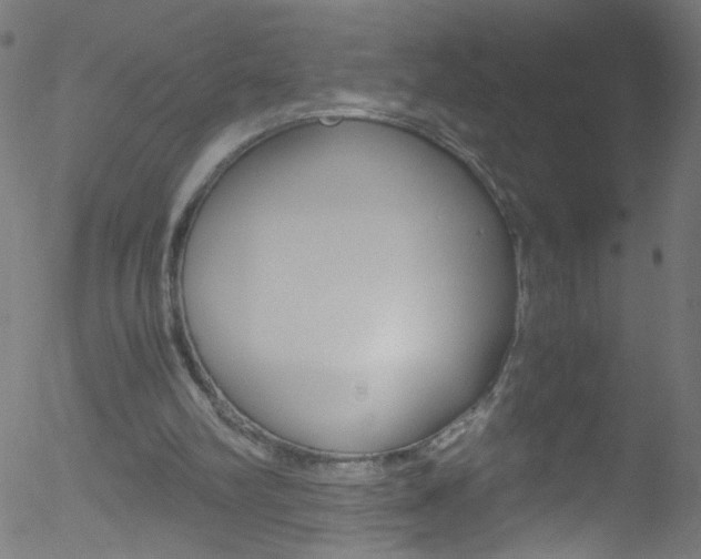 X0000052610102200507010949