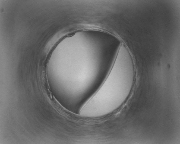 X0000052610103200507010949